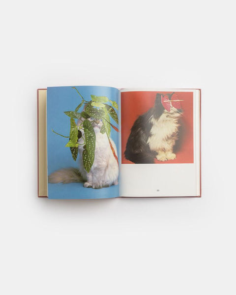 CATS & PLANTS by zioxla at Mohawk General Store