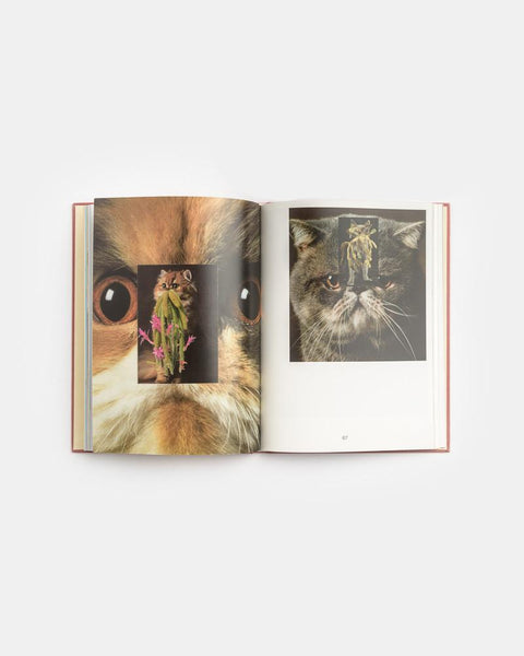 CATS & PLANTS by zioxla at Mohawk General Store