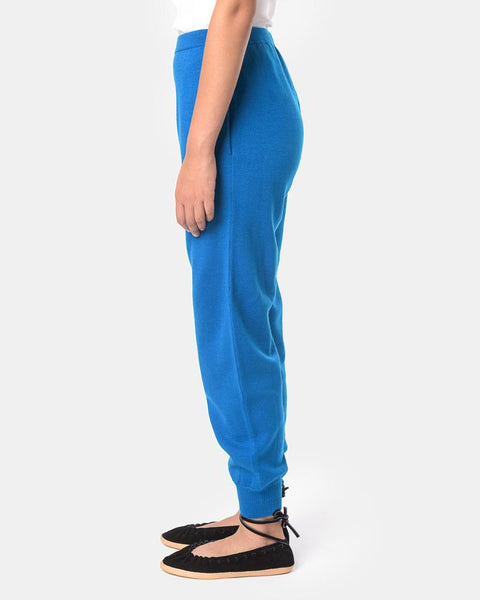 Collins Pants in Blue