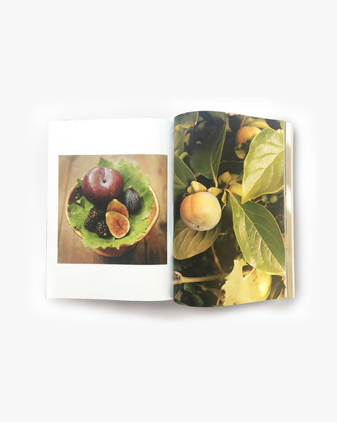 Chez Panisse Book by Amanda Marsalis by Mohawk General Store at Mohawk General Store